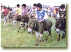 donkey racing